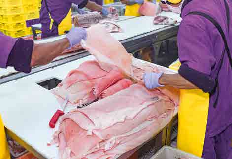 Los cortes de la carne de cerdo determina la calidad del producto.