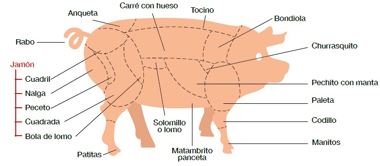 Cortes de cerdo