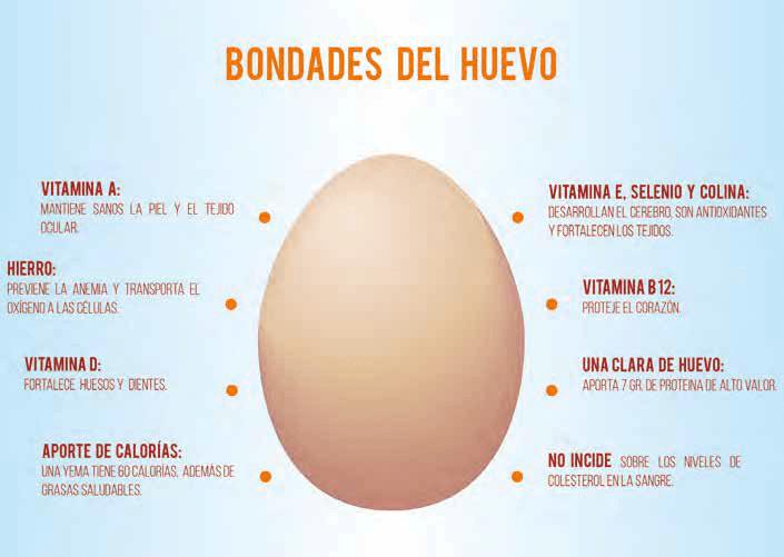 Bondades del huevo