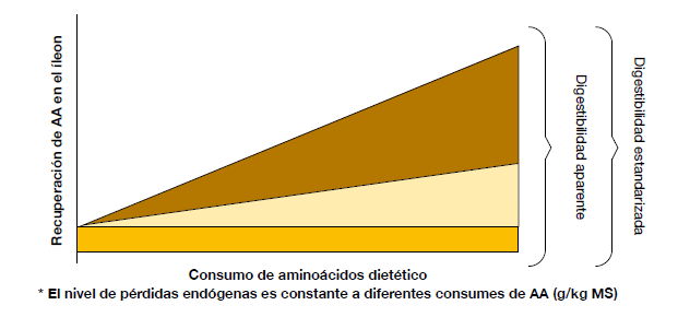 Componentes de las pérdidas endógenas y terminologías de digestibilidad obtenidas por sus respectivas correcciones.