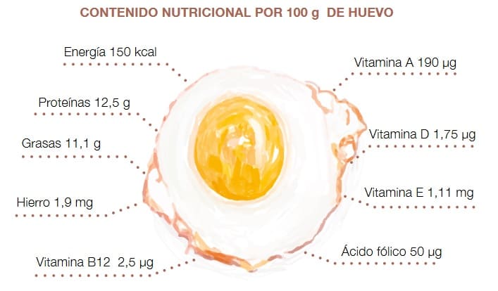 CONTENIDO NUTRICIONAL POR 100 g DE HUEVO