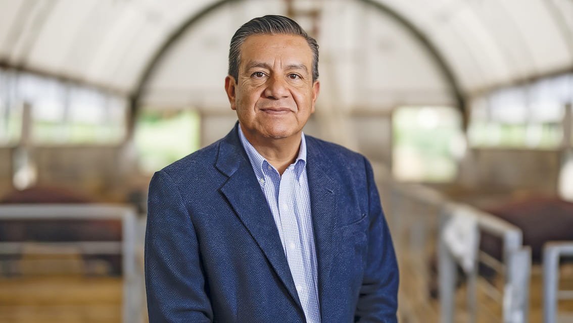 Gestión de ASPE contribuye al aumento del consumo de carne de cerdo