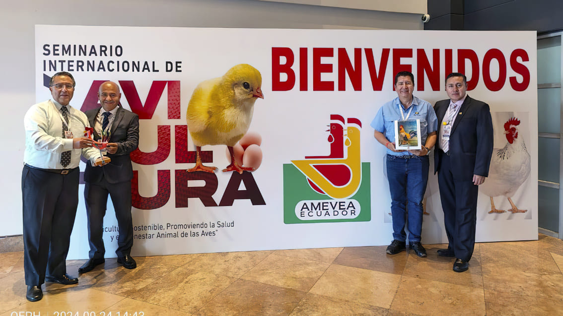 EVALUACIÓN DEL  XXIV SEMINARIO DE AMEVEA-E 2024