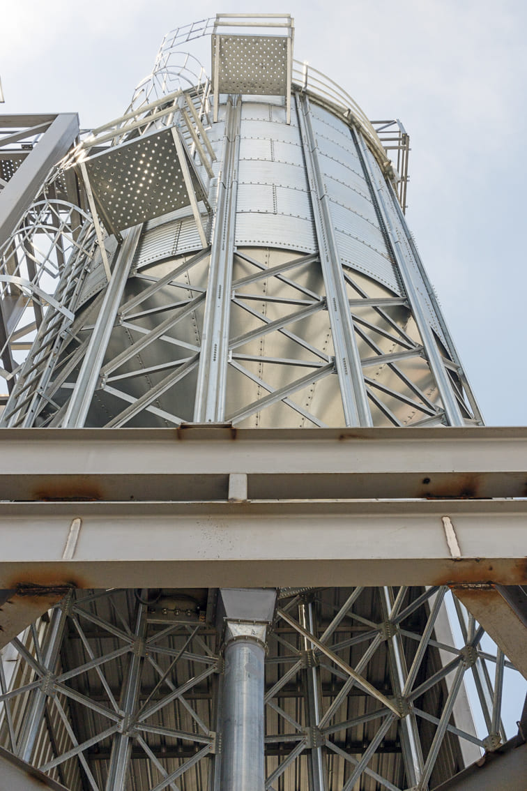 FACTORES QUE INTERVIENEN DURANTE EL ALMACENAMIENTO DE GRANOS