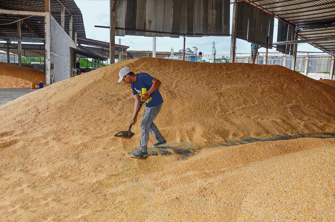Consenso de dirigentes maiceros: “primero absorber la producción nacional”